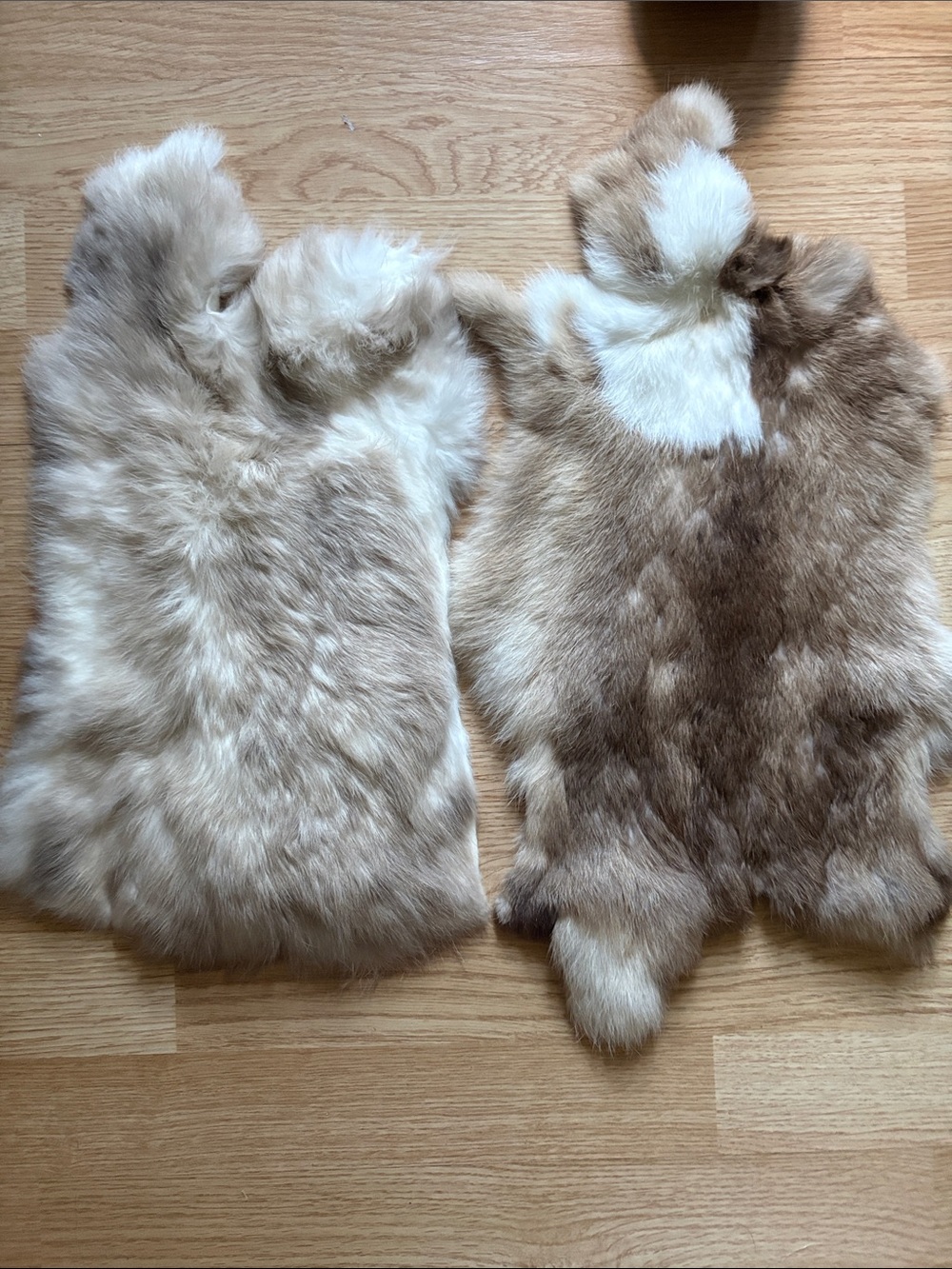 B0198 Rabbit Fur Pelts - Soft Cream & Light Brown Pair